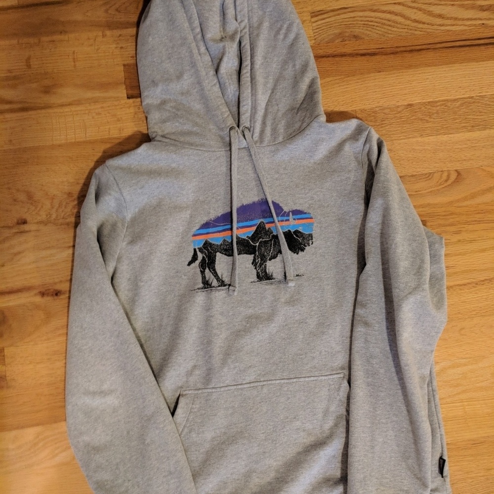 Patagonia Hoodie